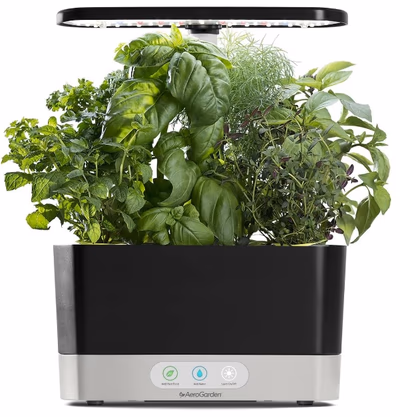 Hydroponic Indoor Garden