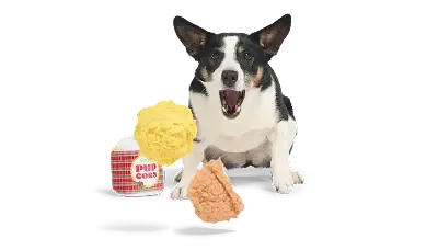 BarkBox monthly subscription