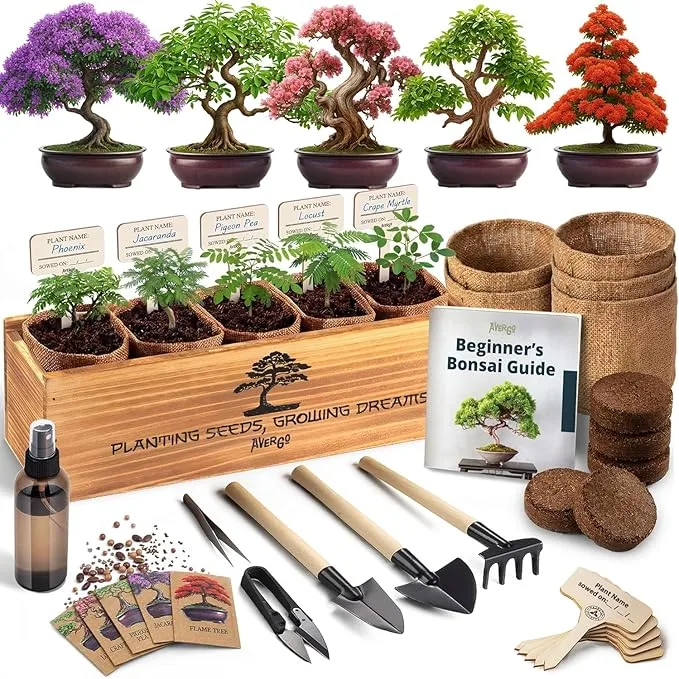 Deluxe Bonsai Tree Starter Kit