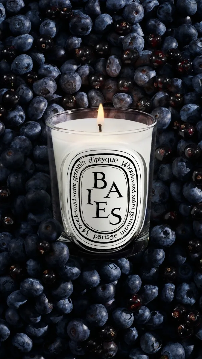 Diptyque Baies (Berries) - Classic Candle