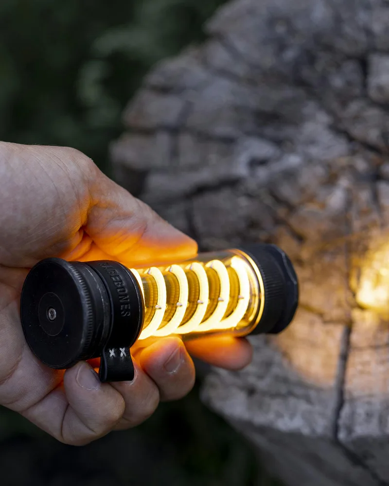 Edison Light Stick