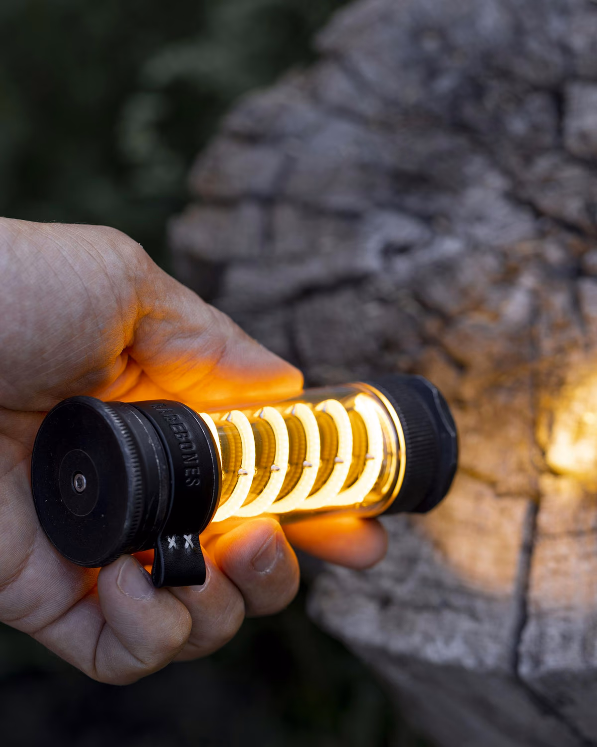 Edison Light Stick