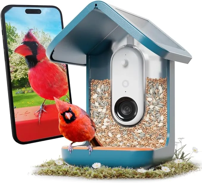 Solar Smart Bird Feeder with Camera