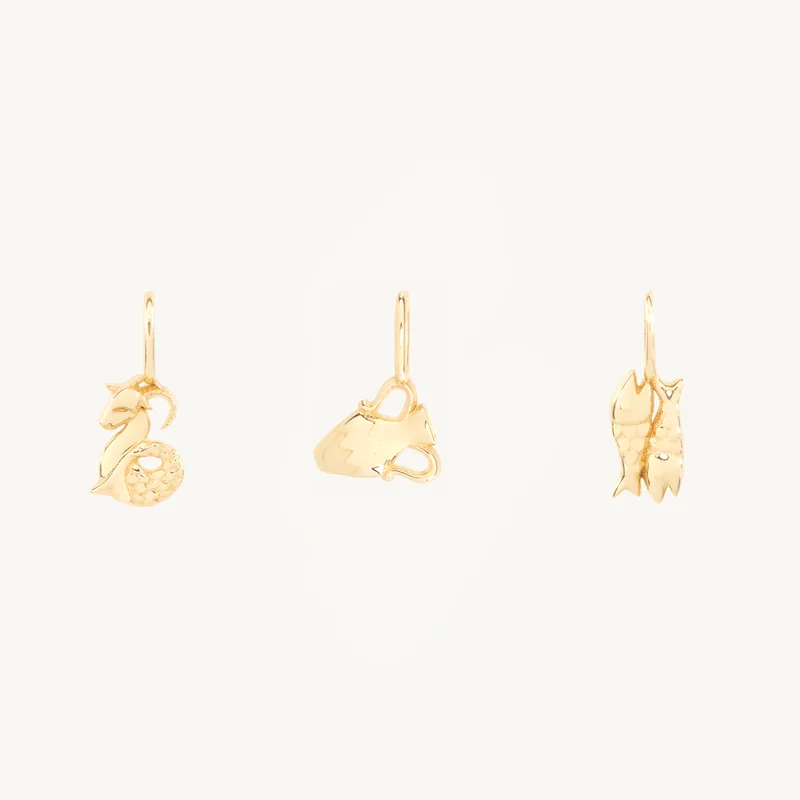 Tiniest Zodiac Charm