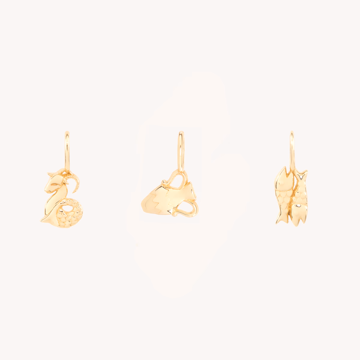 Tiniest Zodiac Charm