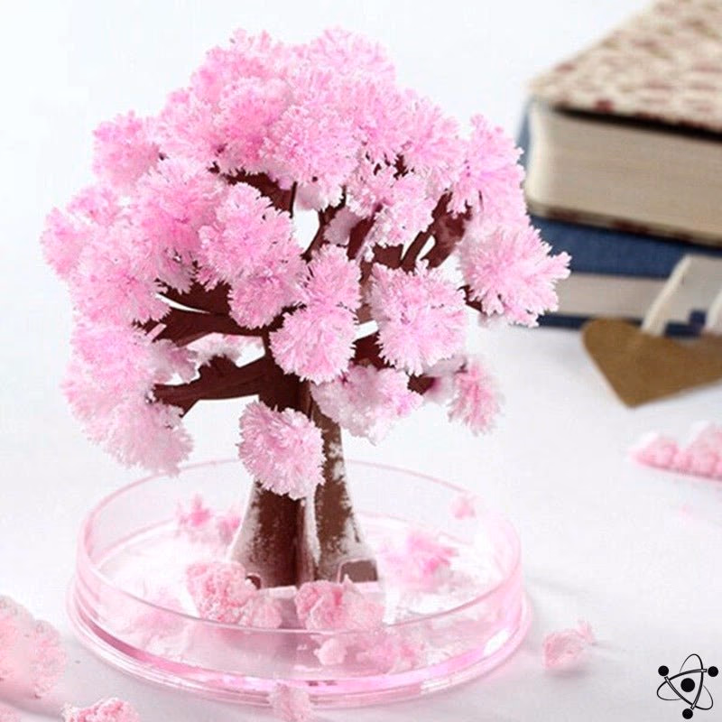 Sakura Magic Tree