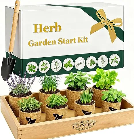 Indoor Herb Garden Start Kit