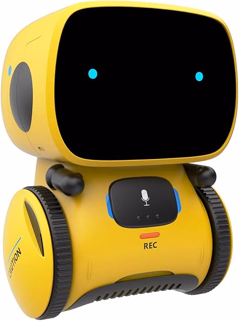 Interactive Talking Robot Toy