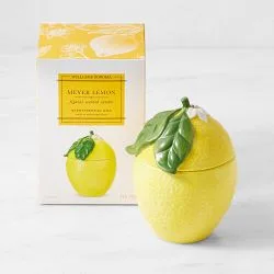 Lemon Candle