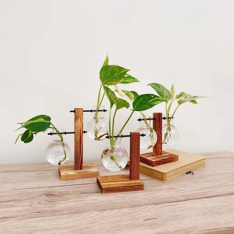 Plant Propagation Vase Set