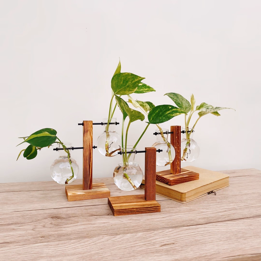 Plant Propagation Vase Set
