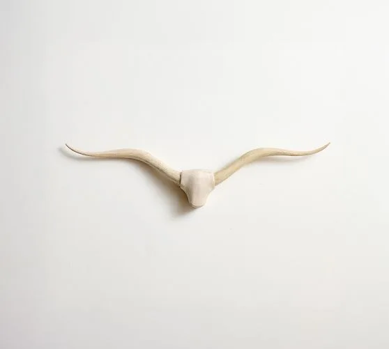 Longhorn Wall Art