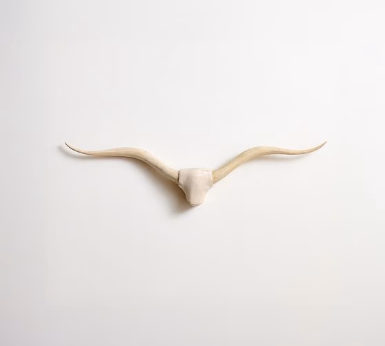 Longhorn Wall Art