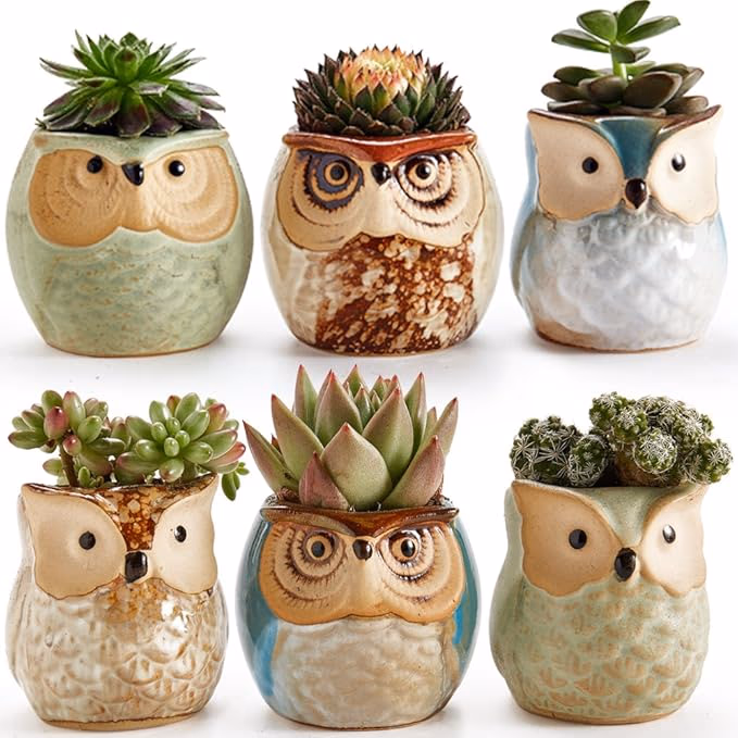 Ceramic Owl Flower Pot Set