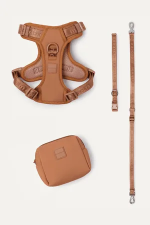 Go With Ease Leash Bundle